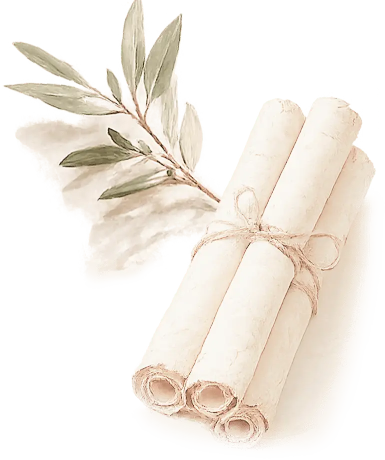 branch with scroll